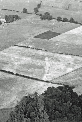 Aerial view showing paralell linear cropmarks, mistakenly interpreted as a cursus monument, the southern cropmark from which is now realised to be a modern field drain